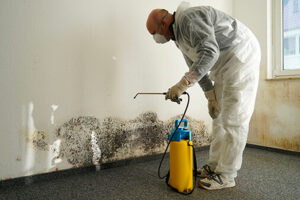 How to Perform Mold Removal Process