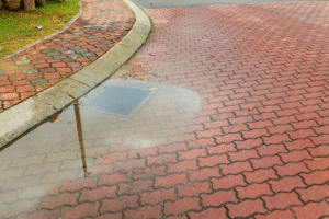 Standing Water in Your Sewer Line