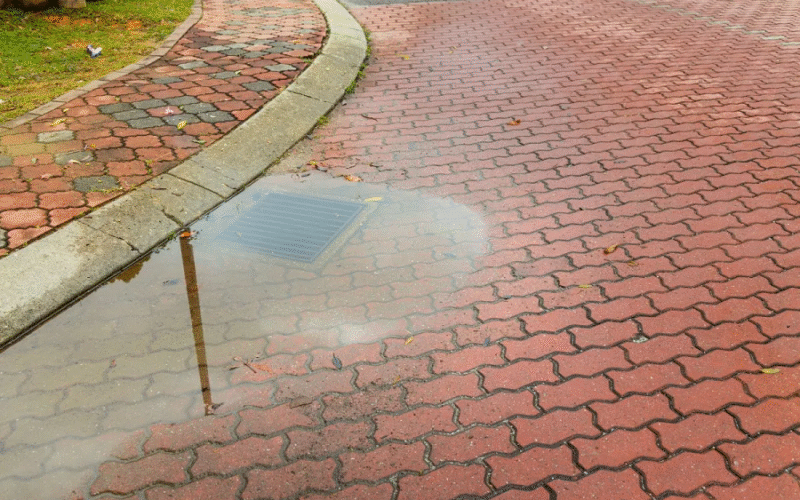 Standing Water in Your Sewer Line