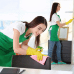 The Hidden Gem of Maid Services in Alexandria