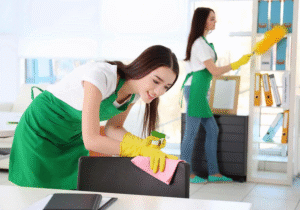 The Hidden Gem of Maid Services in Alexandria