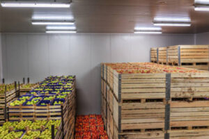 China Specialists in Food Cold Storage Construction and Integrated Solutions