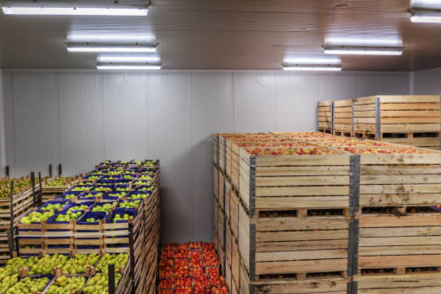 China Specialists in Food Cold Storage Construction and Integrated Solutions
